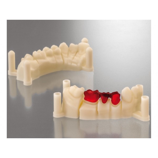 Detax Freeprint® Model Detax Freeprint® Model