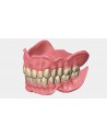 EXOCAD Software Full Denture Module