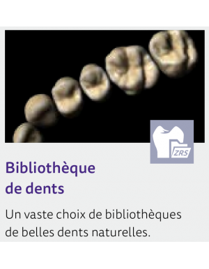 EXOCAD module Bibliothèque de Dents