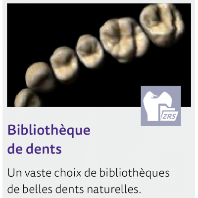 EXOCAD module Bibliothèque de Dents