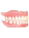 pro3dure GR-14 Denture