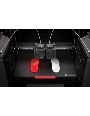 Raise3D E2 Independent print heads